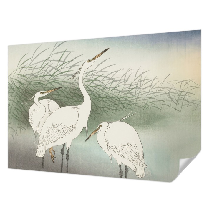 Öntapadós Fotótapéta Falra, Wallfluent, Gémek a fűben, Fehér, 152 x 104 cm, Könnyen Tisztítható, Nedvességálló, 010170060180000285554