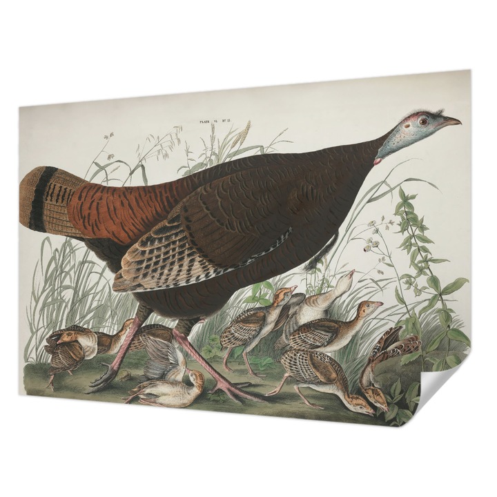 Öntapadós Fotótapéta Falra, Wallfluent, Természetes harmónia, Barna, 152 x 104 cm, Dekoráció, Erős Ragasztó, 010170060180000285593