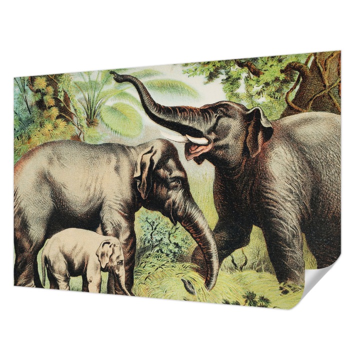 Öntapadós Tapéta Fali Dekoráció, Wallfluent, Családi elefántok, Zöld, 152 x 104 cm, Előszobába, Hálószobába, 010170060180000285579