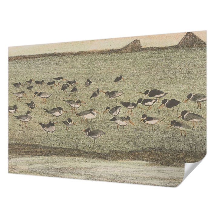 Öntapadós Tapéta Fali Dekoráció, Wallfluent, Madár békéje, Zöld, 152 x 104 cm, Előszobába, Hálószobába, 010170060180000285615