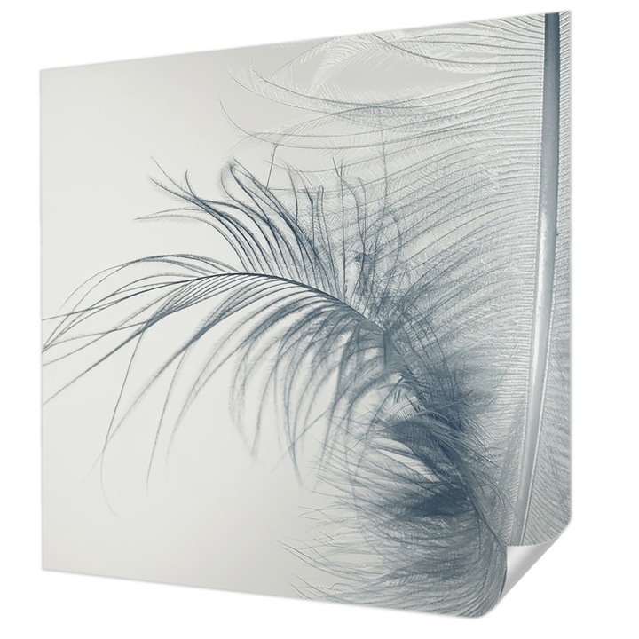 Öntapadós Fotótapéta Falra, Wallfluent, Finom toll, Fehér, 250 x 250 cm, Erős Ragasztó, Modern Belsőépítészeti Dekoráció, 010170060030000285023