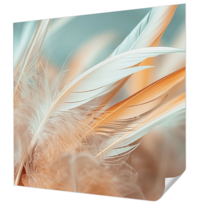 Öntapadós Tapéta Falra, Wallfluent, Finom tollak, Fehér, 250 x 250 cm, Előszobába, Hálószobába, 010170060030000285019