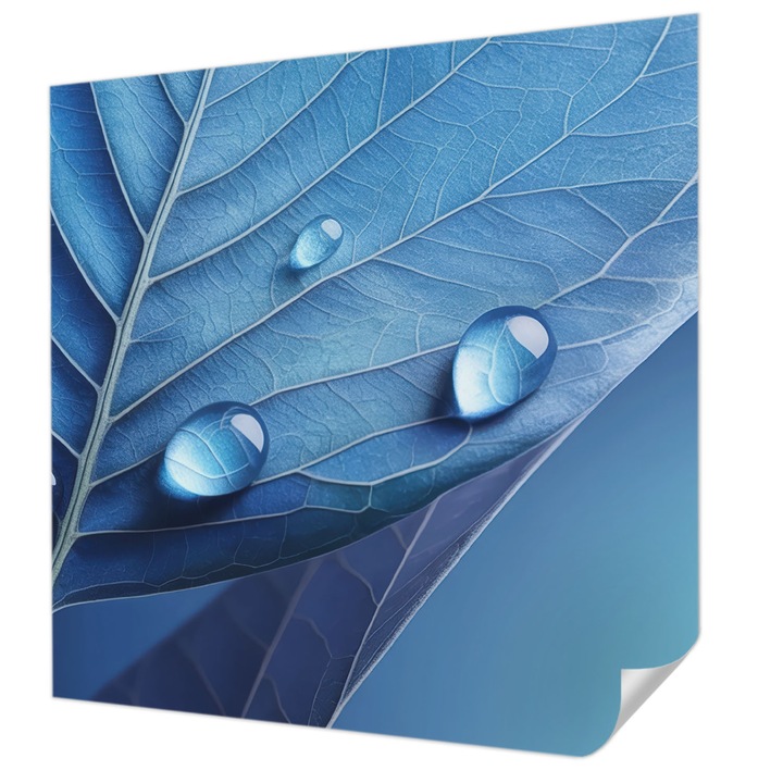 Öntapadós Fotótapéta Falra, Wallfluent, Kék levél, Kék, 250 x 250 cm, Dekoráció, Erős Ragasztó, 010170060030000285025