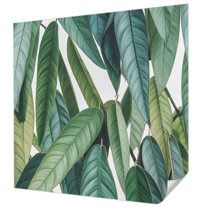 Öntapadós Tapéta Falra, Wallfluent, Természetes levelek, Zöld, 250 x 250 cm, Dekoráció, Klasszikus, 010170060030000285049