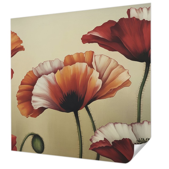 Öntapadós Dekor Tapéta, Wallfluent, Örömteli pipacsok, Narancssárga, 250 x 250 cm, Előszobába, Hálószobába, 010170060030000285069