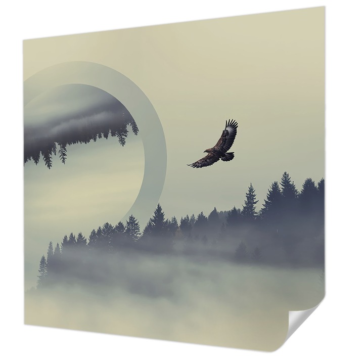 Öntapadós Dekor Tapéta, Wallfluent, Erdő táj, Szürke, 250 x 250 cm, Modern Dizájn, Könnyen Felszerelhető És Tisztítható, 010170060030000285065