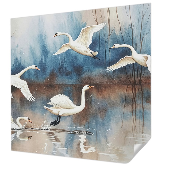 Öntapadós Tapéta Fali Dekoráció, Wallfluent, Madarak repülés közben, Fehér, 250 x 250 cm, Nappaliba, Konyhába, 010170060030000285075