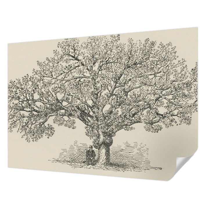 Fali Fotótapéta Autodeziv, Wallfluent, Ilustratie arbore, Multicolor, 208 x 146 cm, Pentru Baie, Bucatarie, 010170060950000285419