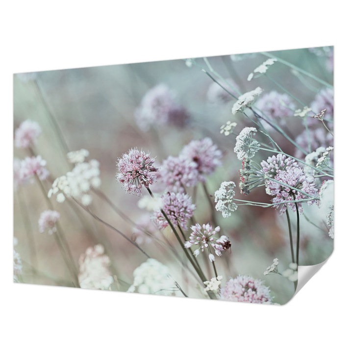 Öntapadós Tapéta Fali Dekoráció, Wallfluent, Vadvirágok, Fehér, 208 x 146 cm, Előszobába, Hálószobába, 010170060950000001836