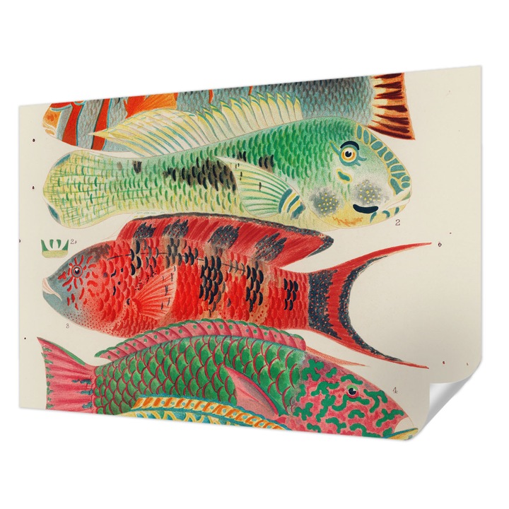 Öntapadós Dekor Tapéta, Wallfluent, Egzotikus halak, Zöld, 208 x 146 cm, Fali Dekoráció, Nedvesség- És Foltálló, 010170060950000285435