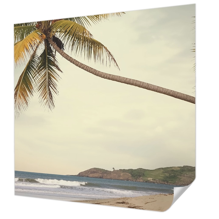 Öntapadós Dekor Tapéta, Wallfluent, Trópusi táj, Fehér, 250 x 250 cm, Előszobába, Hálószobába, 010170060030000285102