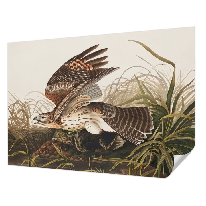 Öntapadós Dekor Tapéta, Wallfluent, Szárnyas szépség, Szürke, 312 x 219 cm, Nappaliba, Konyhába, 010170060960000285472