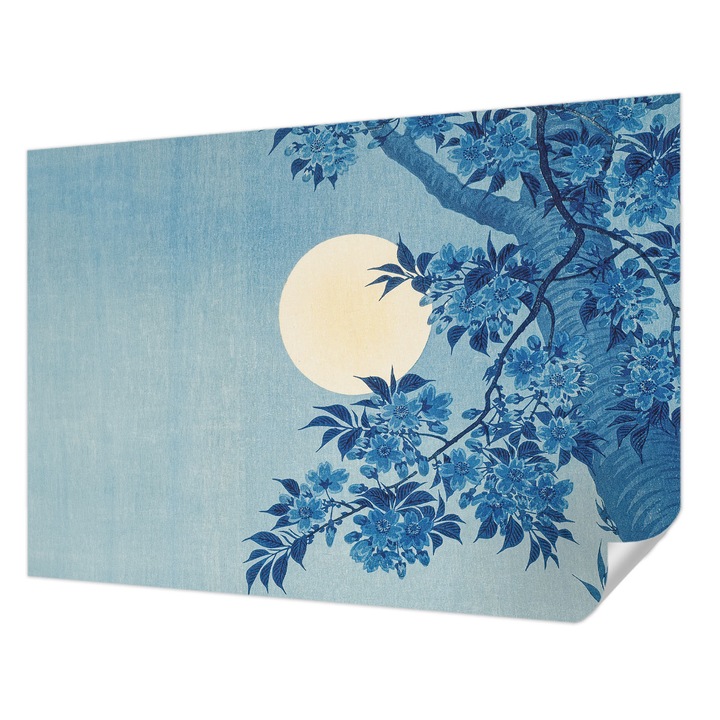 Öntapadós Tapéta Falra, Wallfluent, Virág Hold, Kék, 208 x 146 cm, Előszobába, Hálószobába, 010170060950000285489