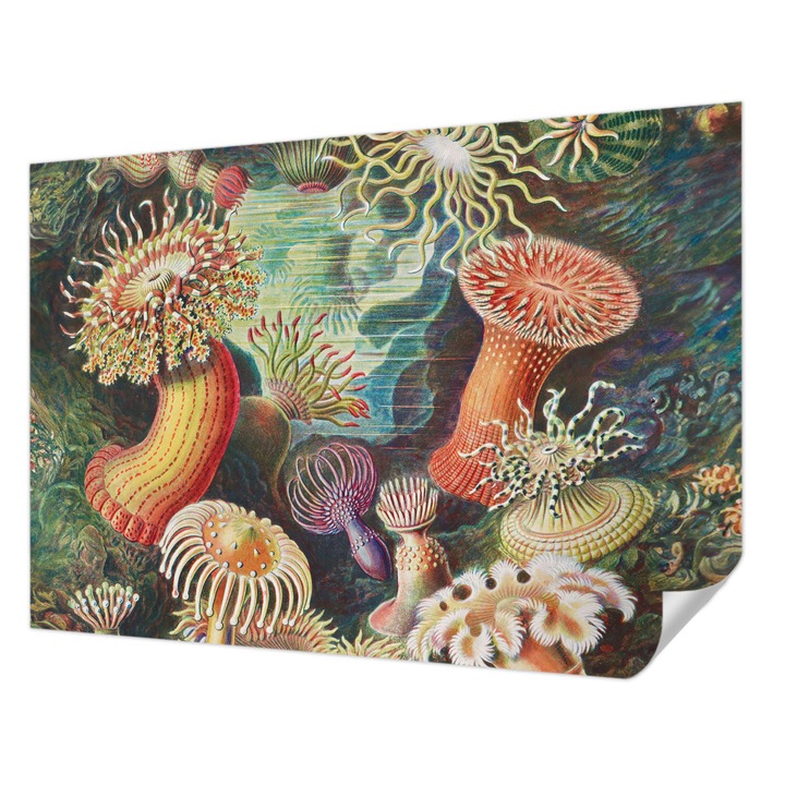 Öntapadós Dekor Tapéta, Wallfluent, Díszes szellőrózsák, Zöld, 312 x 219 cm, Könnyen Tisztítható, Nedvességálló, 010170060960000285497