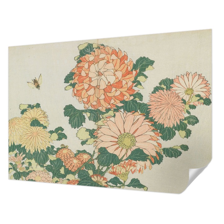 Fali Fotótapéta Autocolant, Wallfluent, Flori de crizantema, Cremos, 208 x 146 cm, Adeziv Puternic, Usor De Montat Si Rezistent, 010170060950000285547