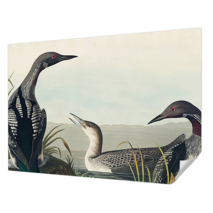 Öntapadós Dekor Tapéta, Wallfluent, Madarak a víz felett, Fekete, 312 x 219 cm, Klasszikus, Könnyen Felszerelhető, 010170060960000285600