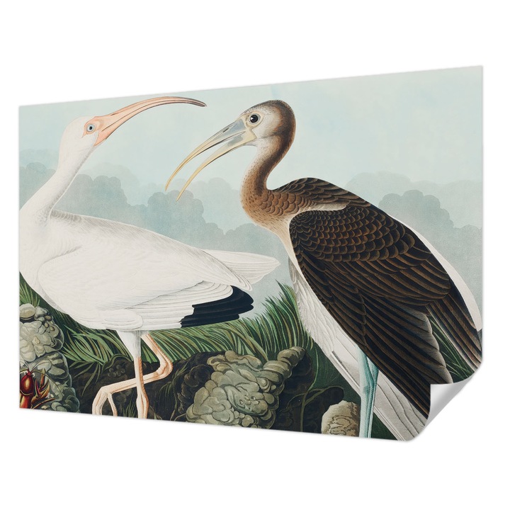 Fali Fotótapéta Autocolant, Wallfluent, Cuplu de pasari, Alb, 312 x 219 cm, Decorativ, Usor De Instalat, 010170060960000285595