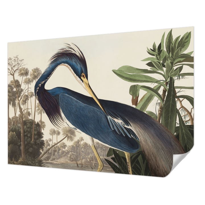 Öntapadós Dekor Tapéta, Wallfluent, Egzotikus természet, Kék, 312 x 219 cm, Erős Ragasztó, Modern Belsőépítészeti Dekoráció, 010170060960000285596