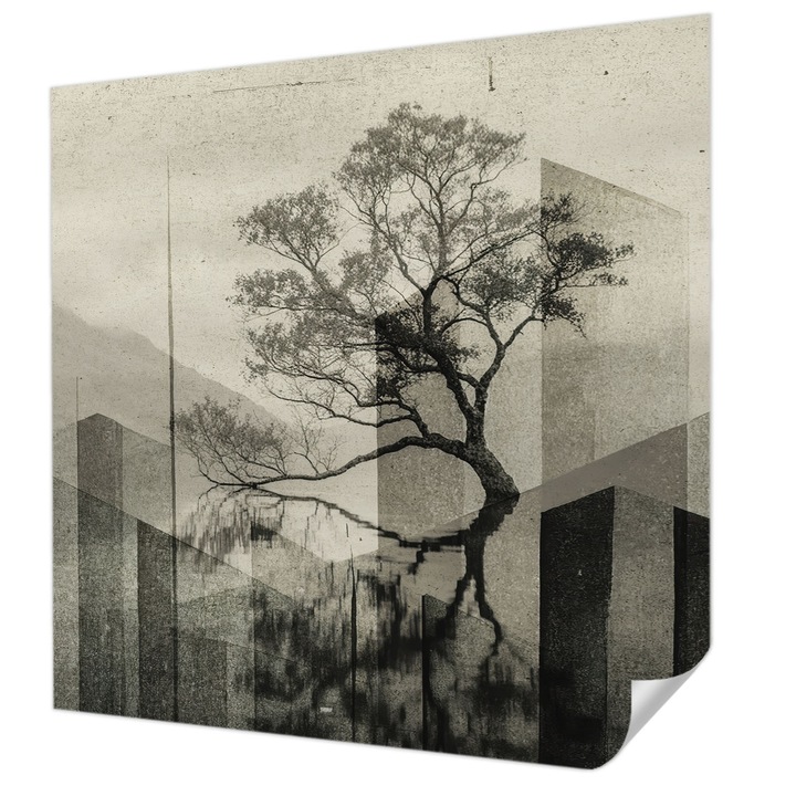 Öntapadós Fotótapéta Falra, Wallfluent, Nyers elegancia, Fekete, 250 x 250 cm, Modern Dizájn, Könnyen Felszerelhető És Tisztítható, 010170060030000285124