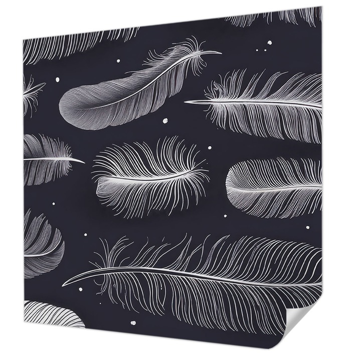 Öntapadós Fotótapéta Falra, Wallfluent, Finom tollak, Fekete és fehér, 250 x 250 cm, Erős Ragasztó, Modern Belsőépítészeti Dekoráció, 010170060030000285126