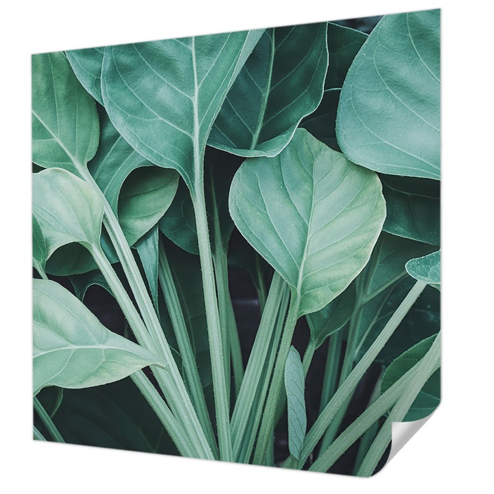 Öntapadós Dekor Tapéta, Wallfluent, Zöld természet, Zöld, 250 x 250 cm, Könnyen Tisztítható, Nedvességálló, 010170060030000285131