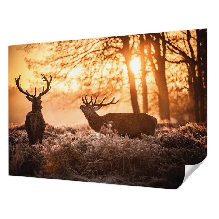 Öntapadós Fotótapéta Falra, Wallfluent, Szarvas reggel, Narancssárga, 208 x 146 cm, Dekoráció, Erős Ragasztó, 010170060950000005725