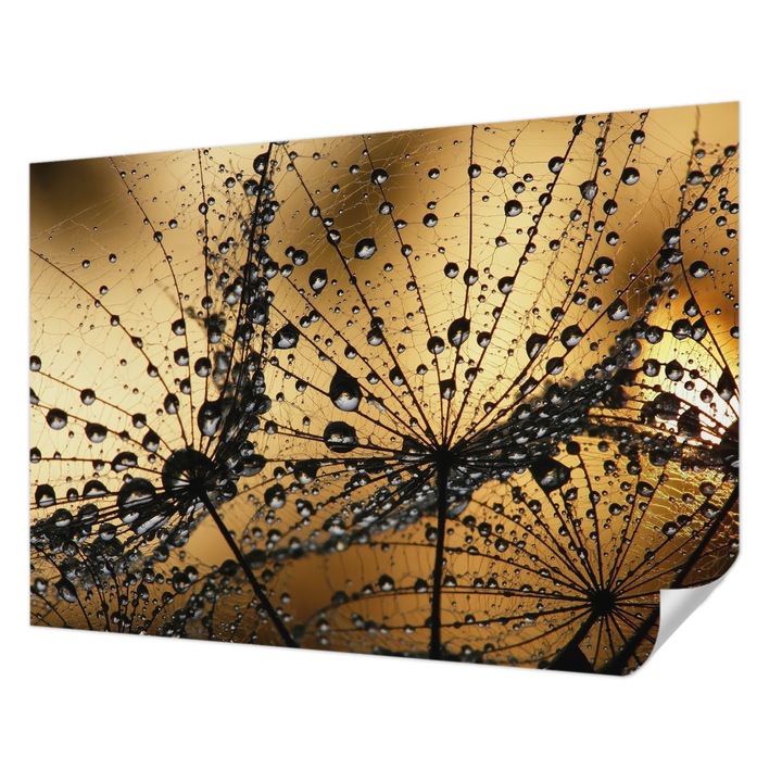 Tapet Autodeziv De Perete, Wallfluent, Picaturi delicate, Negru, 312 x 219 cm, Pentru Interior, Rezistente La Apa, Umiditate Si Pete, 010170060960000006302