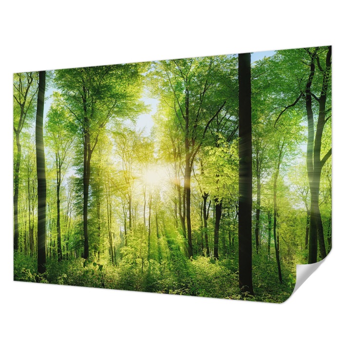 Tapet Textil Autocolant, Wallfluent, Armonia padurii, Verde, 208 x 146 cm, Pentru Sufragerie, Dormitor, 010170060950000007593