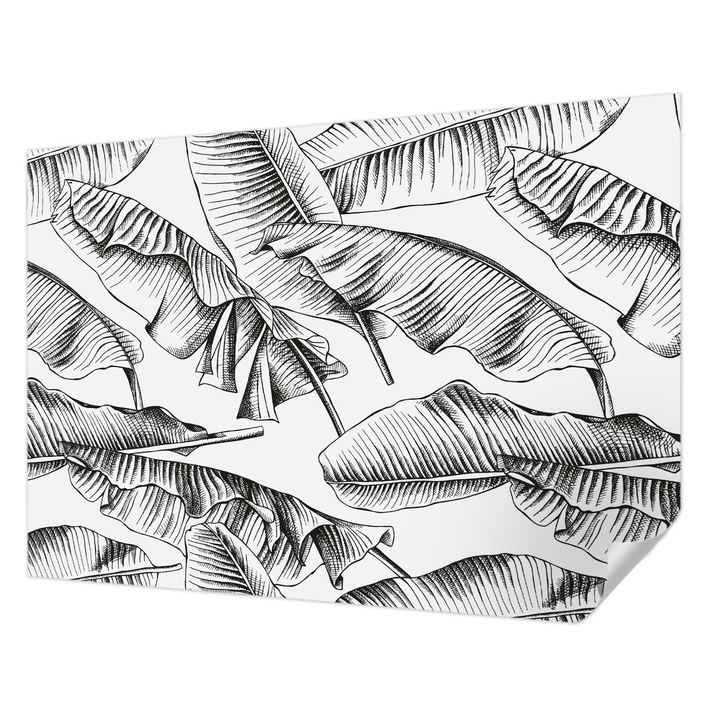 Öntapadós Tapéta Fali Dekoráció, Wallfluent, Banánlevelek, Fekete és fehér, 312 x 219 cm, Dekoráció, Falra, 010170060960000010925