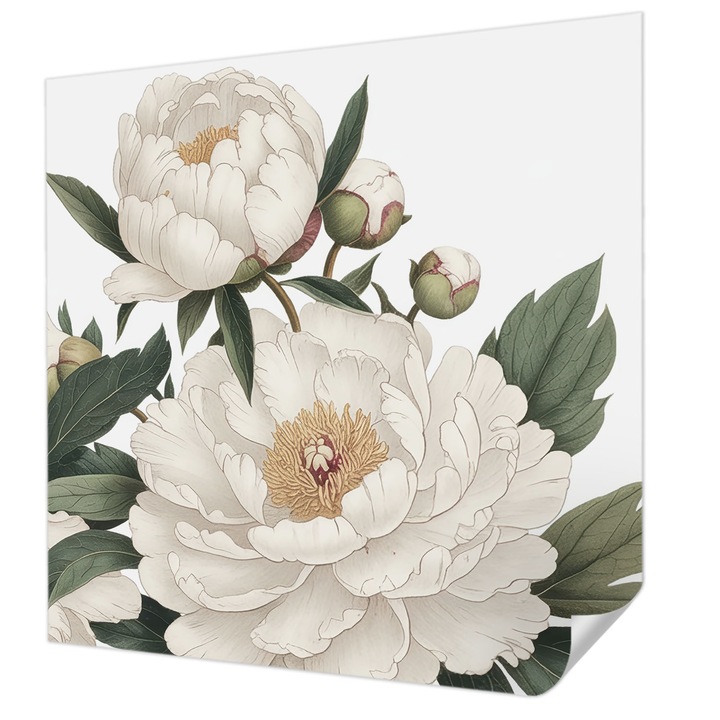 Öntapadós Tapéta Fali Dekoráció, Wallfluent, Fehér pünkösdi rózsák, Fehér, 250 x 250 cm, Modern Dizájn, Könnyen Felszerelhető És Tisztítható, 010170060030000285173