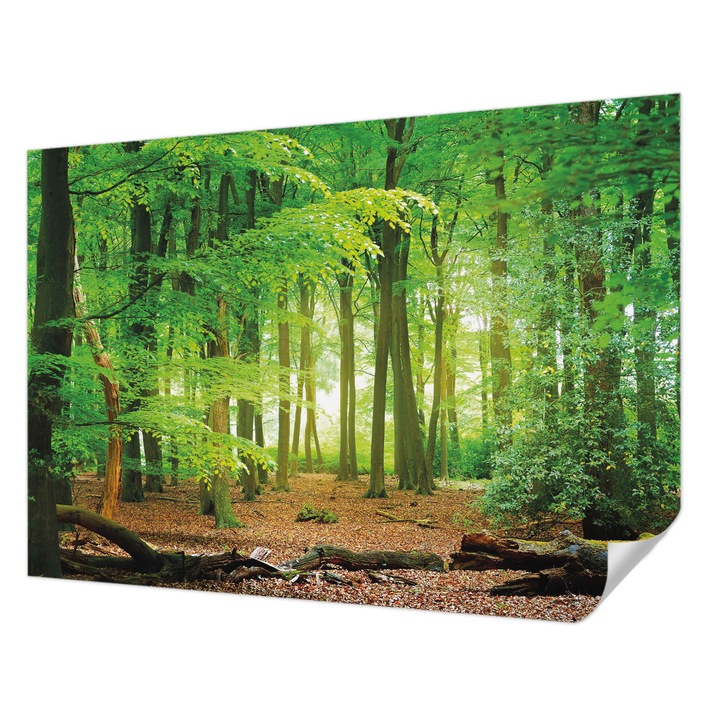 Öntapadós Dekor Tapéta, Wallfluent, Zöld erdő, Zöld, 208 x 146 cm, Könnyen Tisztítható, Nedvességálló, 010170060950000034572