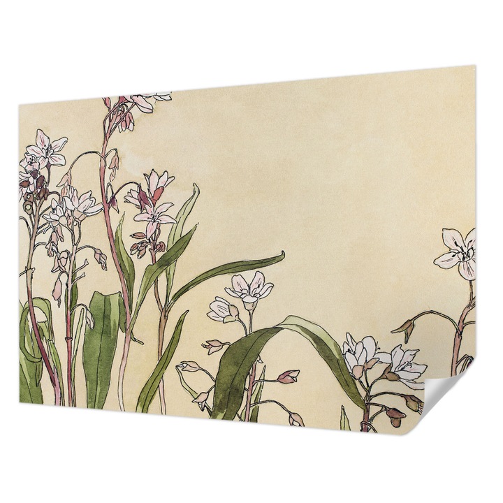 Öntapadós Tapéta Fali Dekoráció, Wallfluent, Virágos elegancia, Fehér, 208 x 146 cm, Erős Ragasztó, Modern Belsőépítészeti Dekoráció, 010170060950000031707