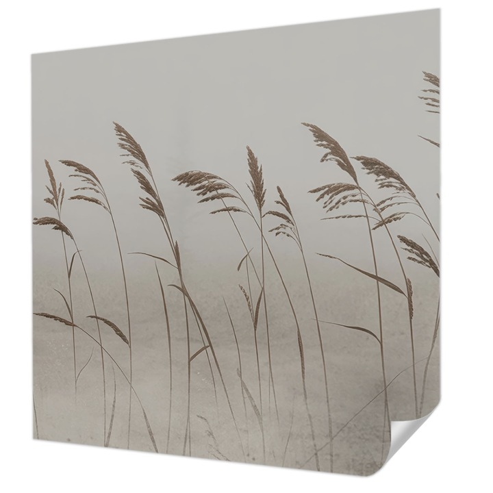 Öntapadós Tapéta Falra, Wallfluent, Füvek a ködben, Szürke, 250 x 250 cm, Könnyen Tisztítható, Nedvességálló, 010170060030000285181