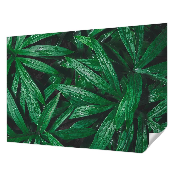 Fali Fotótapéta Autodeziv, Wallfluent, Verdeata naturala, Verde, 208 x 146 cm, Detasabil, Lavabil, 010170060950000077396