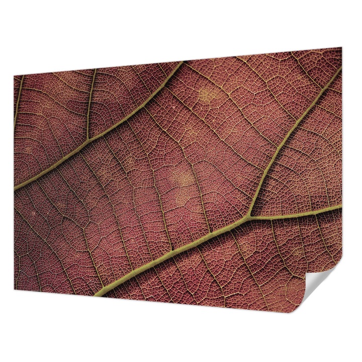 Öntapadós Fotótapéta Falra, Wallfluent, Leveles textúra, Barna, 312 x 219 cm, Könnyen Tisztítható, Nedvességálló, 010170060960000282597