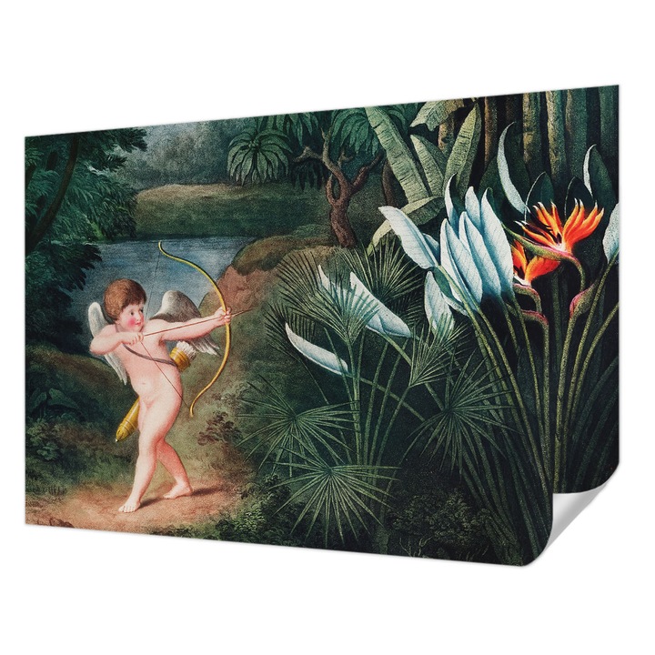 Öntapadós Fotótapéta Falra, Wallfluent, Imádnivaló Ámor, Zöld, 312 x 219 cm, Könnyen Tisztítható, Nedvességálló, 010170060960000282720