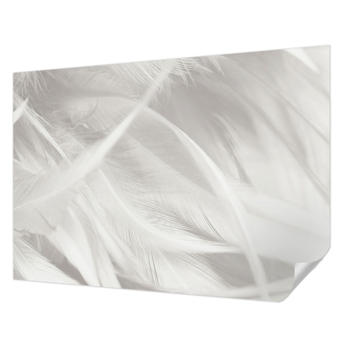 Öntapadós Tapéta Fali Dekoráció, Wallfluent, Finom tollak, Fehér, 312 x 219 cm, Előszobába, Hálószobába, 010170060960000282655