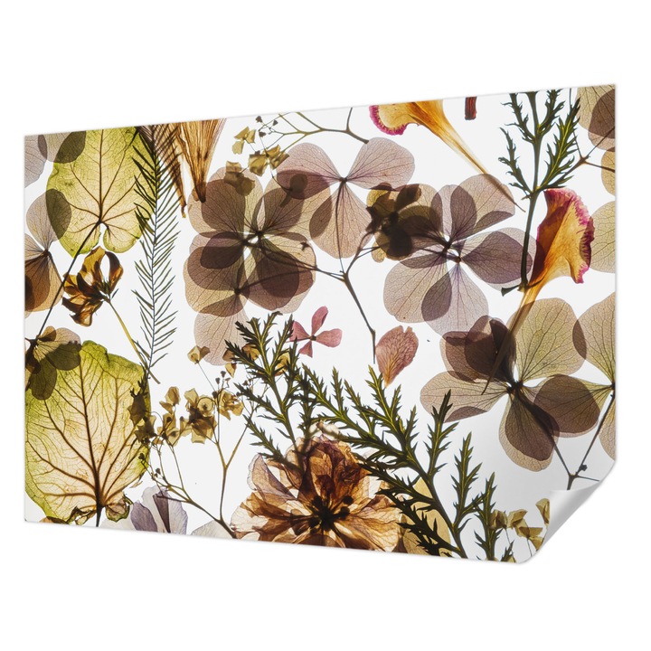 Öntapadós Fotótapéta Falra, Wallfluent, Természetes összetétel, Zöld, 312 x 219 cm, Erős Ragasztó, Modern Belsőépítészeti Dekoráció, 010170060960000282759