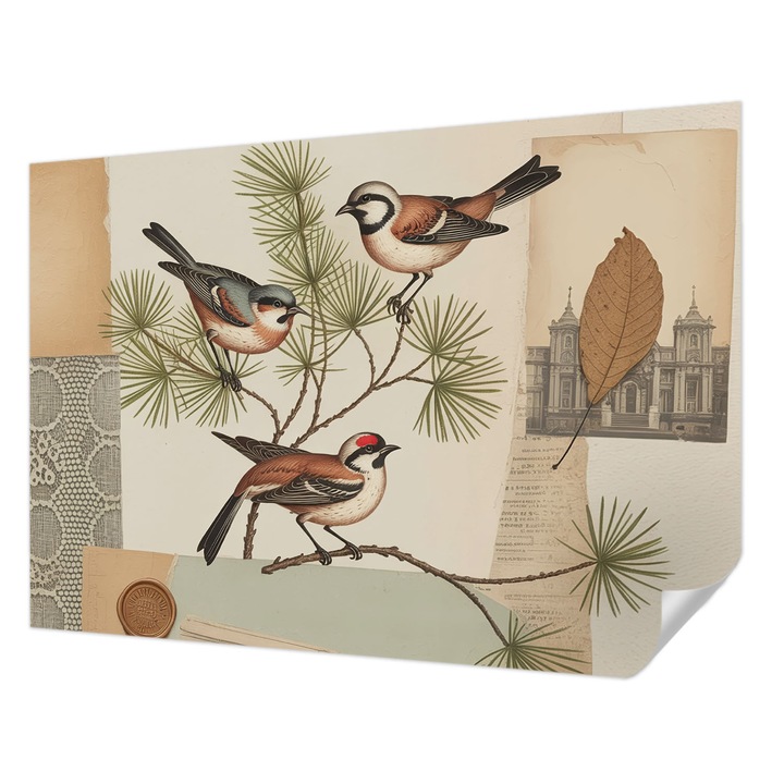 Öntapadós Dekor Tapéta, Wallfluent, Madarak kollázs, Barna, 208 x 146 cm, Erős Ragasztó, Modern Belsőépítészeti Dekoráció, 010170060950000284744