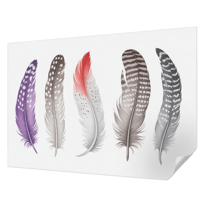 Öntapadós Fotótapéta Falra, Wallfluent, Mintás tollak, Lila, 312 x 219 cm, Erős Ragasztó, Modern Belsőépítészeti Dekoráció, 010170060960000284800