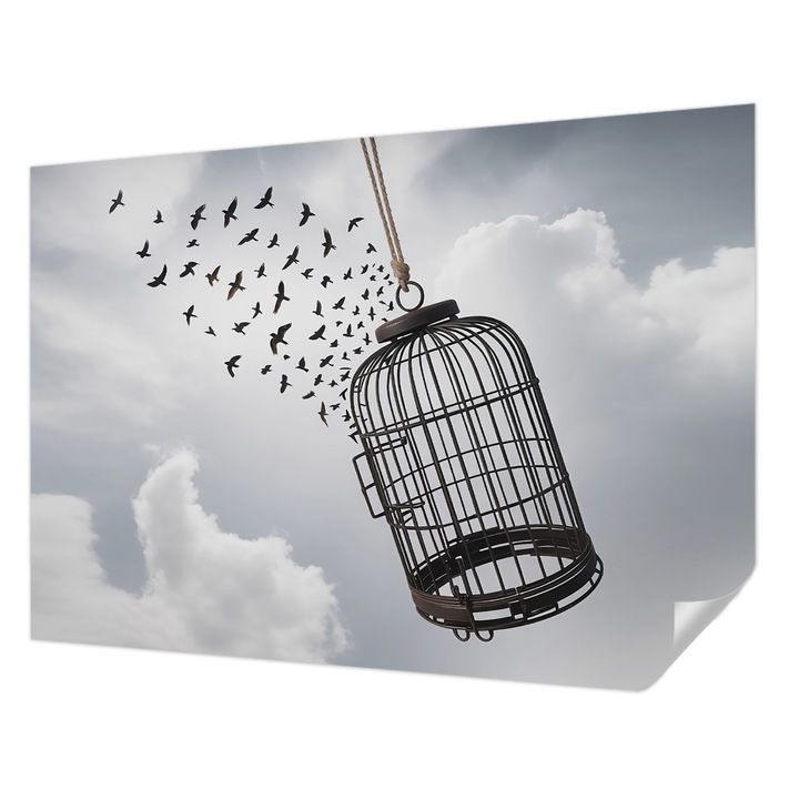 Öntapadós Tapéta Fali Dekoráció, Wallfluent, Repülő madarak, Fehér, 208 x 146 cm, Modern Dizájn, Nedvesség- És Foltálló, 010170060950000284881