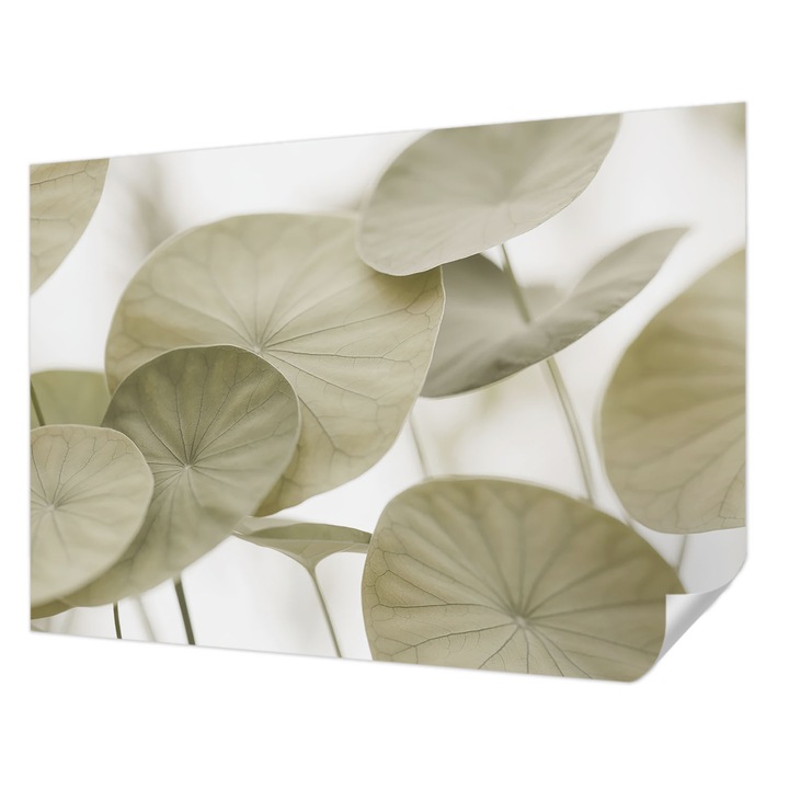 Öntapadós Dekor Tapéta, Wallfluent, Természetes elegancia, Bézs, 208 x 146 cm, Modern Dizájn, Könnyen Felszerelhető És Tisztítható, 010170060950000284994