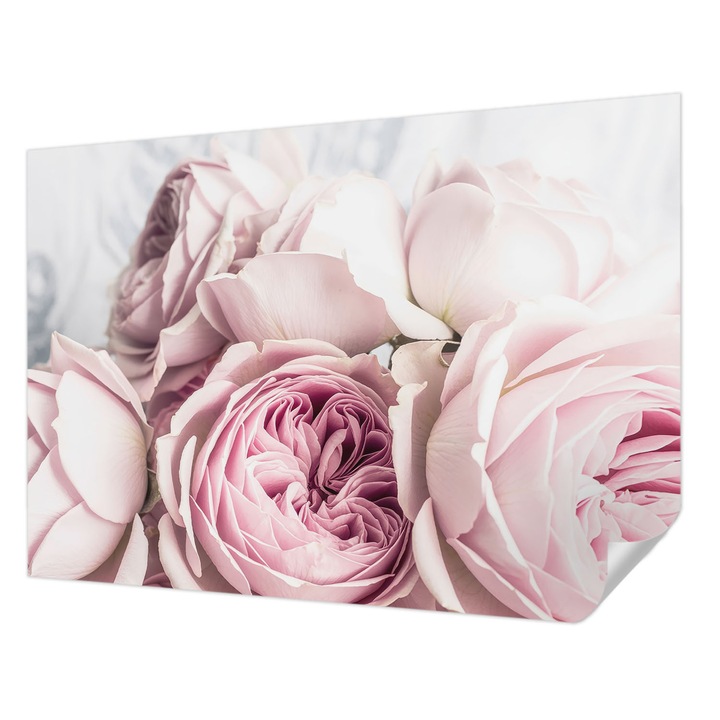 Tapet Autocolant De Perete, Wallfluent, Trandafiri roz, Roz, 208 x 146 cm, Detasabil, Lavabil, 010170060950000285008