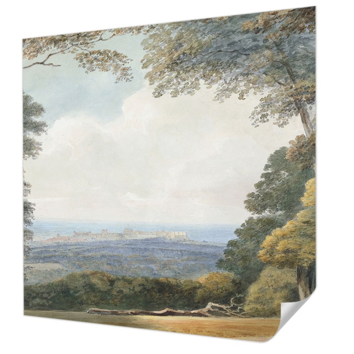 Öntapadós Tapéta Falra, Wallfluent, Erdős táj, Zöld, 250 x 250 cm, Fali Dekoráció, Nedvesség- És Foltálló, 010170060030000285212