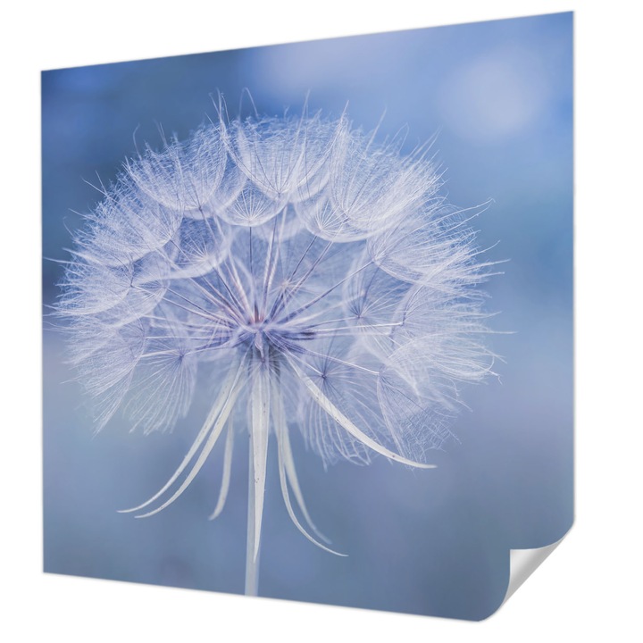 Öntapadós Fotótapéta Falra, Wallfluent, Kék finomság, Kék, 250 x 250 cm, Dekoráció, Erős Ragasztó, 010170060030000285225