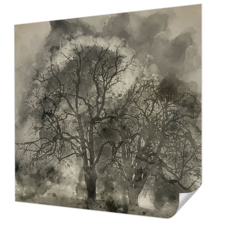 Öntapadós Dekor Tapéta, Wallfluent, Titokzatos fák, Fekete, 250 x 250 cm, Fali Dekoráció, Nedvesség- És Foltálló, 010170060030000285230