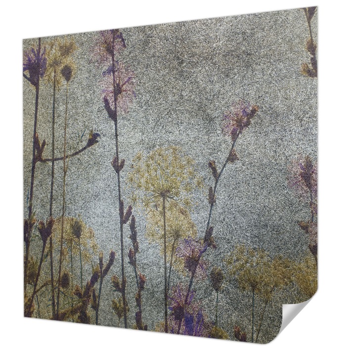 Öntapadós Dekor Tapéta, Wallfluent, Vadvirágok, Szürke, 250 x 250 cm, Dekoráció, Falra, 010170060030000285235