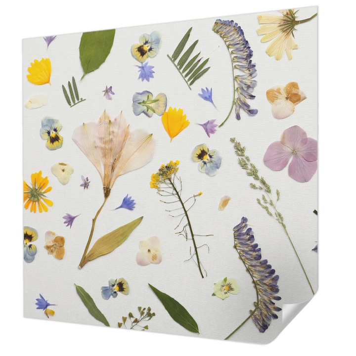 Öntapadós Dekor Tapéta, Wallfluent, Tavaszi virágok, Fehér, 250 x 250 cm, Nappaliba, Konyhába, 010170060030000285234