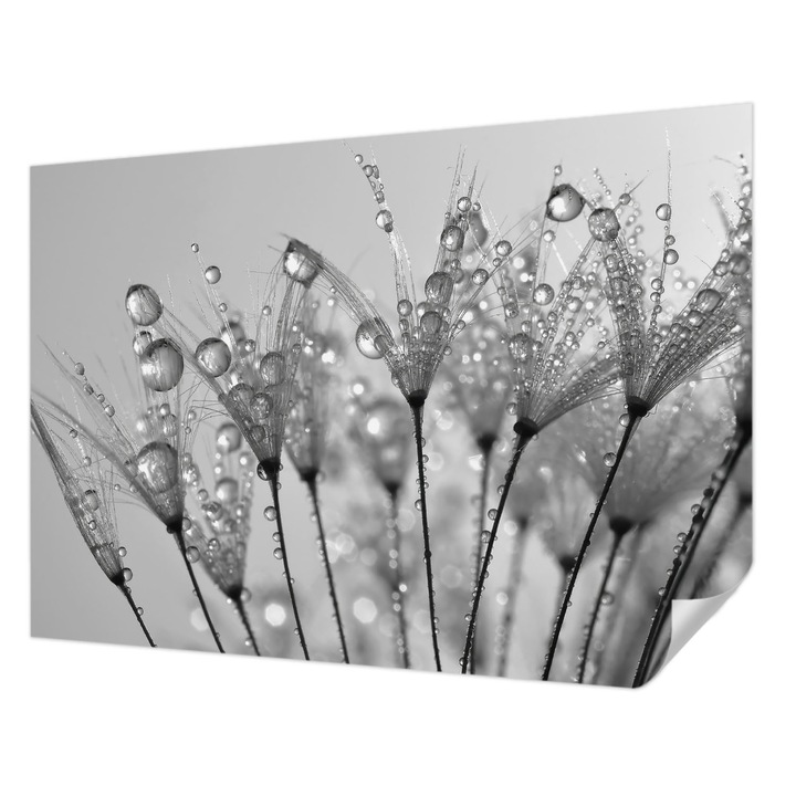 Öntapadós Tapéta Falra, Wallfluent, Nedves finomság, Fehér, 208 x 146 cm, Dekoráció, Klasszikus, 010170060950000000913