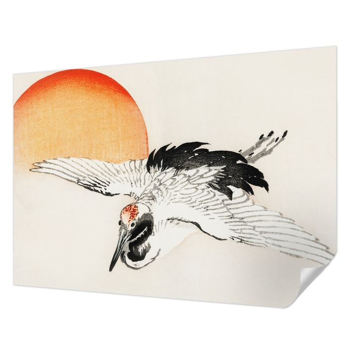 Öntapadós Fotótapéta Falra, Wallfluent, Elegáns daru, Fehér, 312 x 219 cm, Dekoráció, Erős Ragasztó, 010170060960000017938